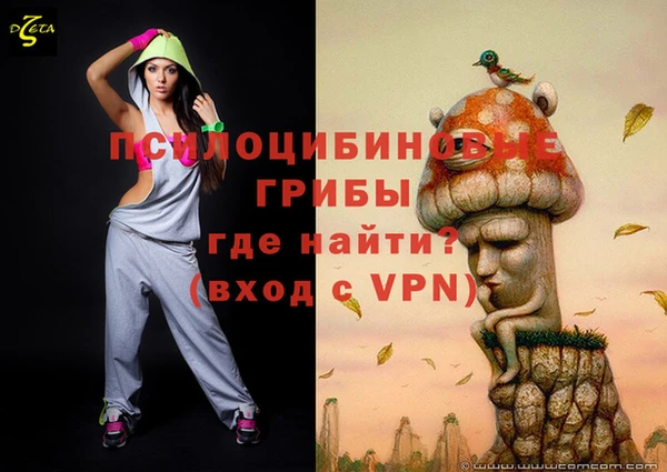mix Бородино